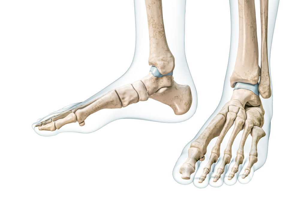 Alles über die Fußchirurgie - Fußspezialist Dr. Radek Hart